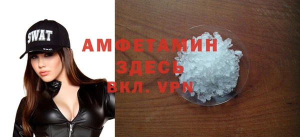 индика Алексин