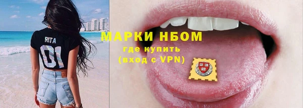 ПСИЛОЦИБИНОВЫЕ ГРИБЫ Арсеньев