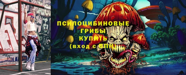 дживик Аркадак