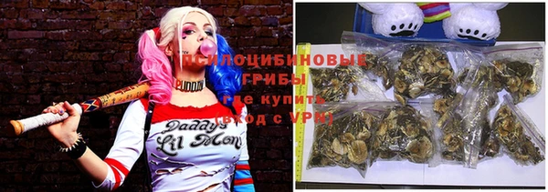 дживик Аркадак