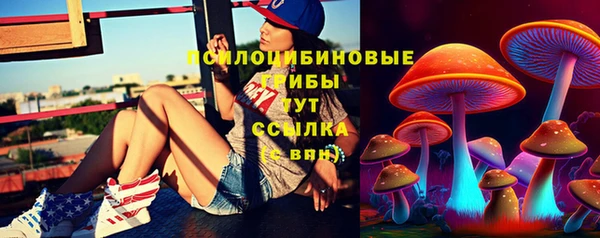 индика Алексин