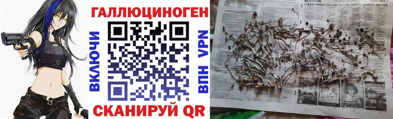 Псилоцибиновые грибы Cubensis  Саки 